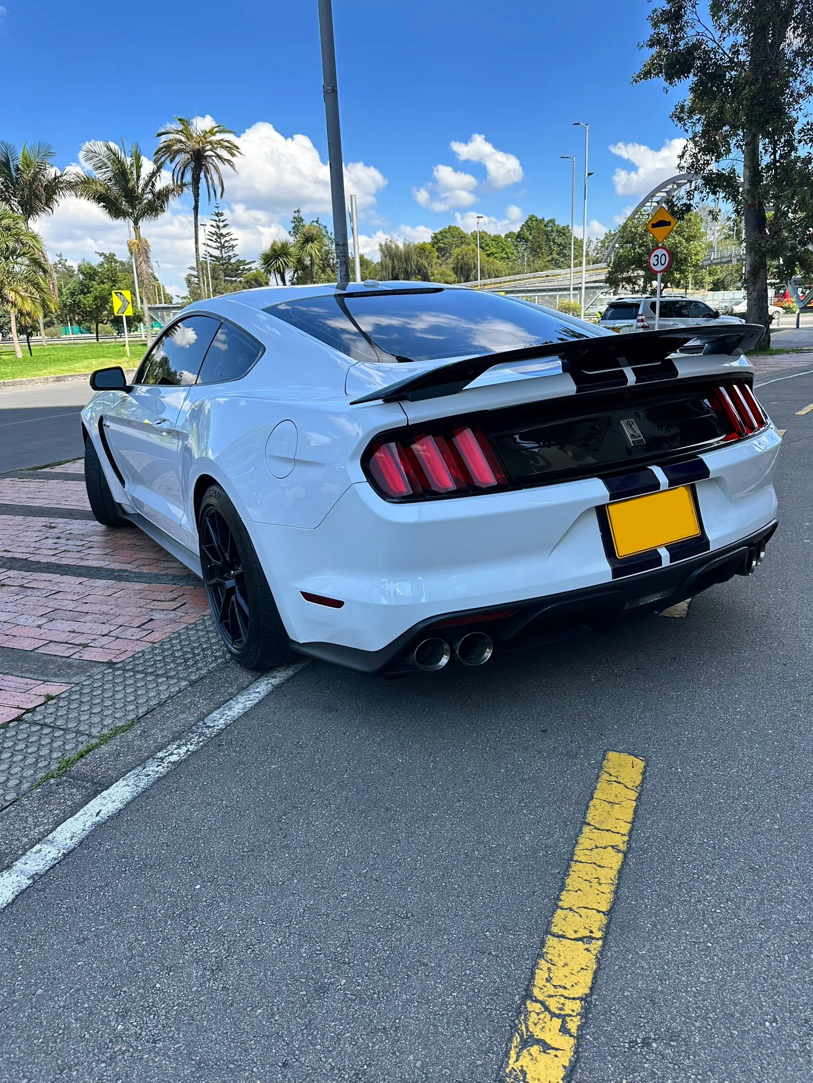 FORD MUSTANG [6] SHELBY GT350 2019