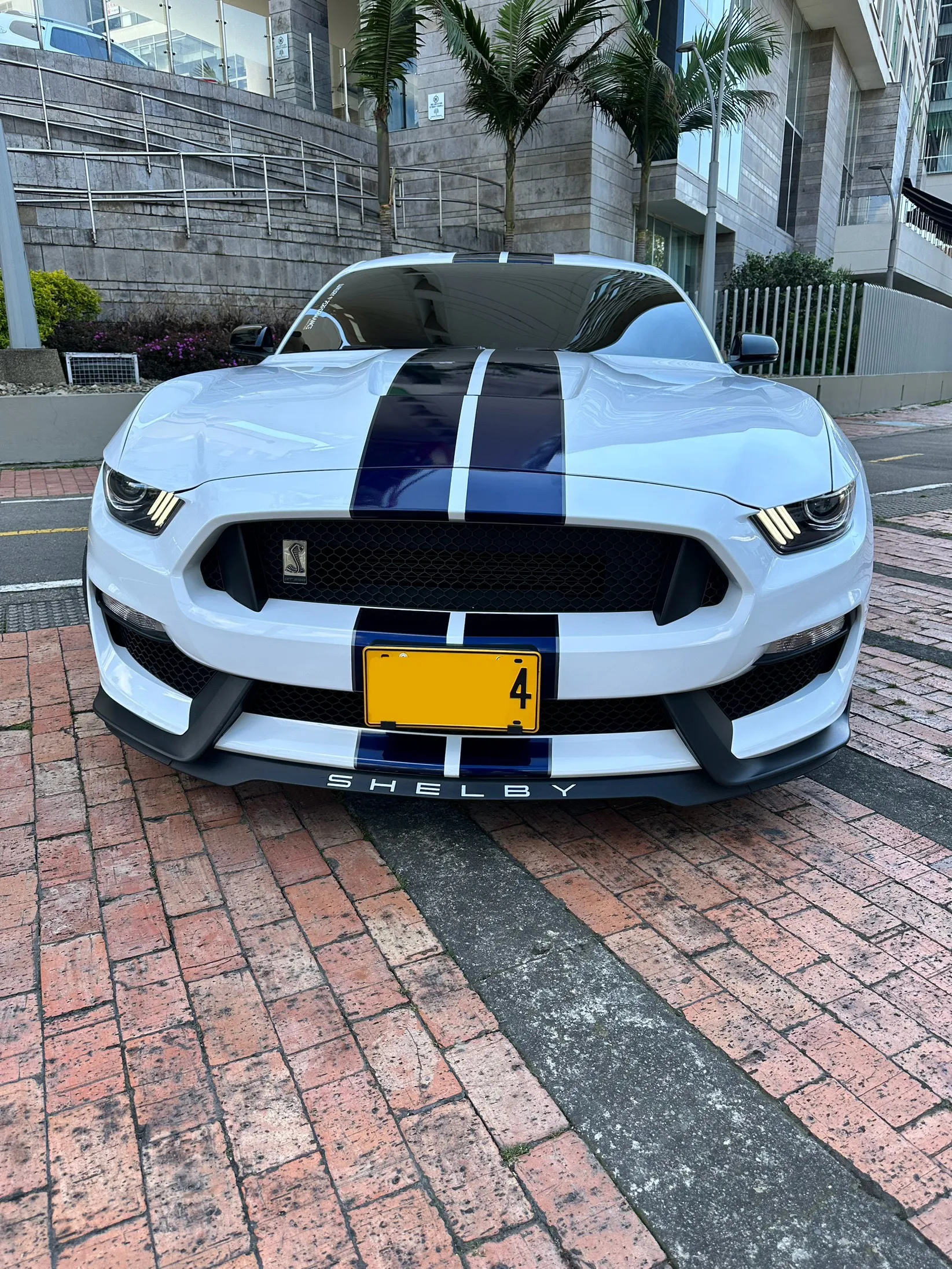 FORD MUSTANG [6] SHELBY GT350 2019