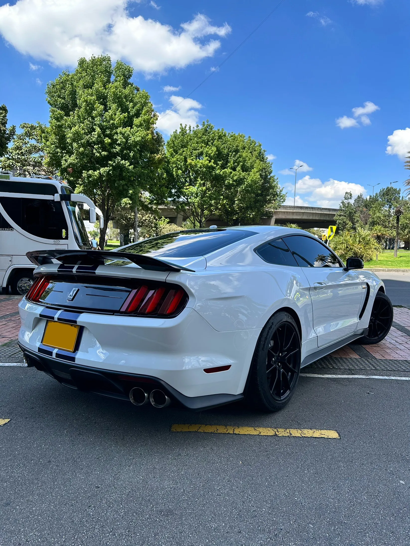 FORD MUSTANG [6] SHELBY GT350 2019