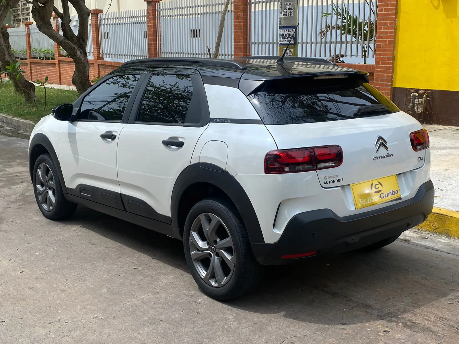 CITROEN C4 [2] CACTUS SHINE 2021