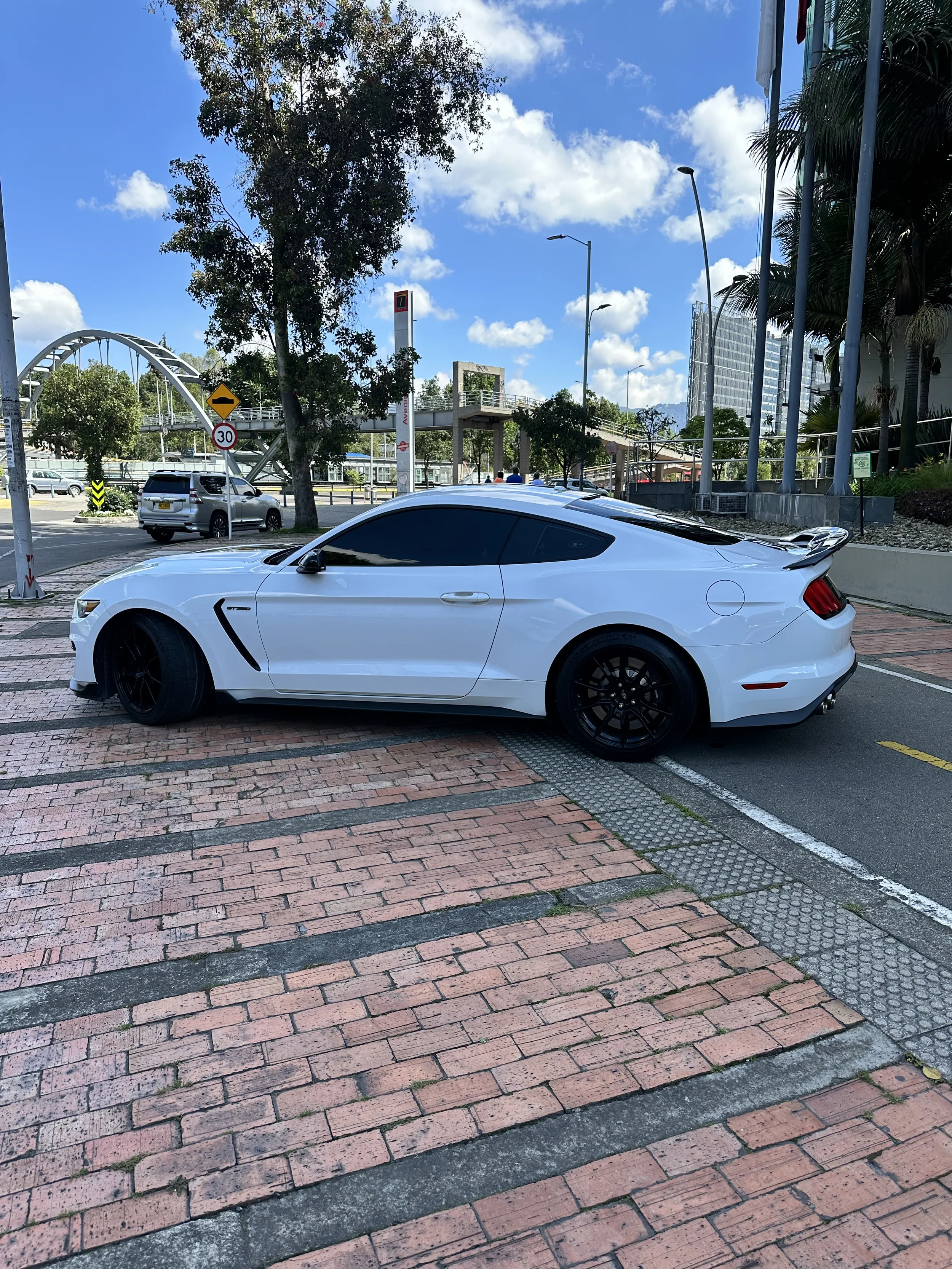 FORD MUSTANG [6] SHELBY GT350 2019