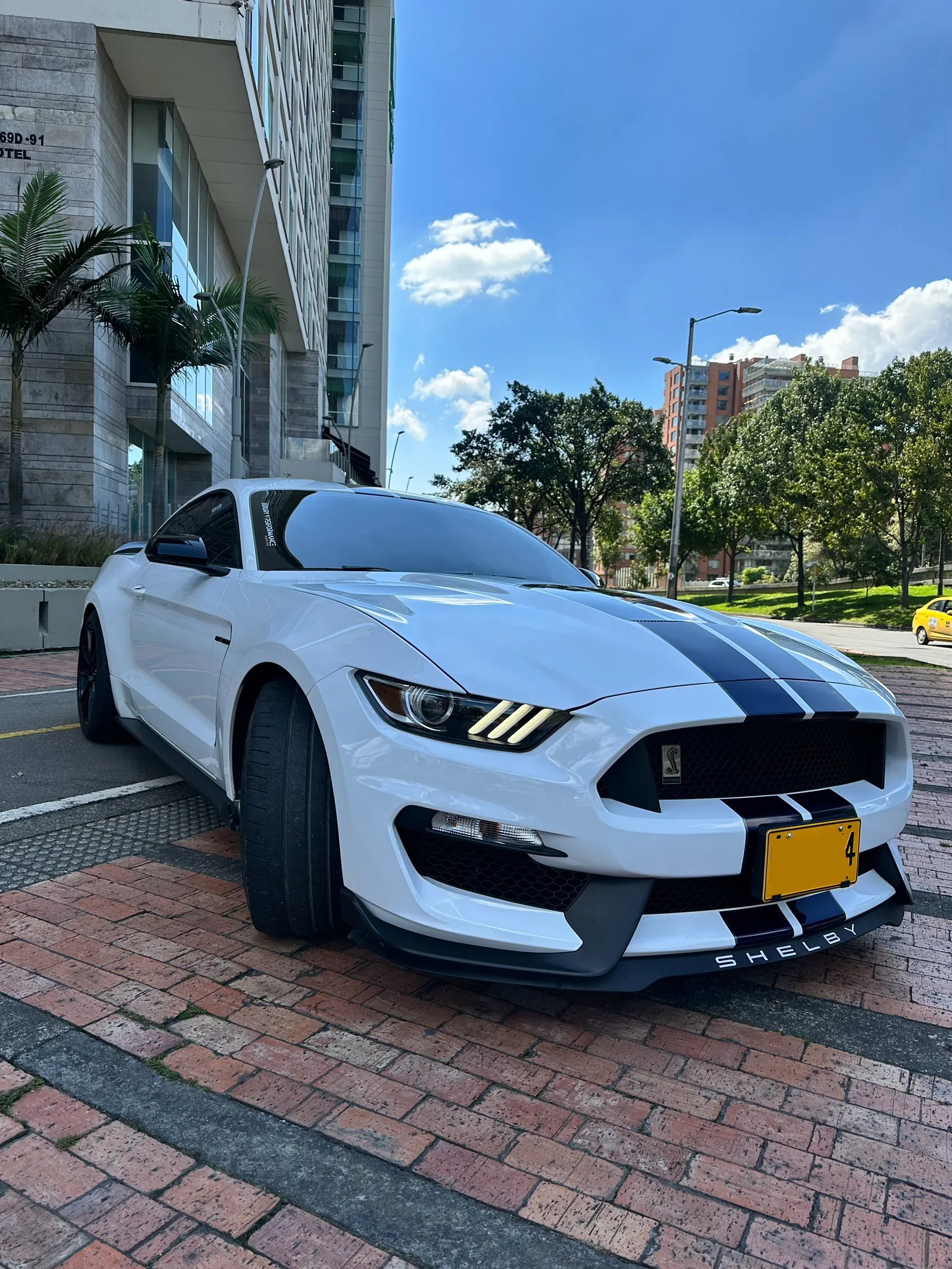 FORD MUSTANG [6] SHELBY GT350 2019