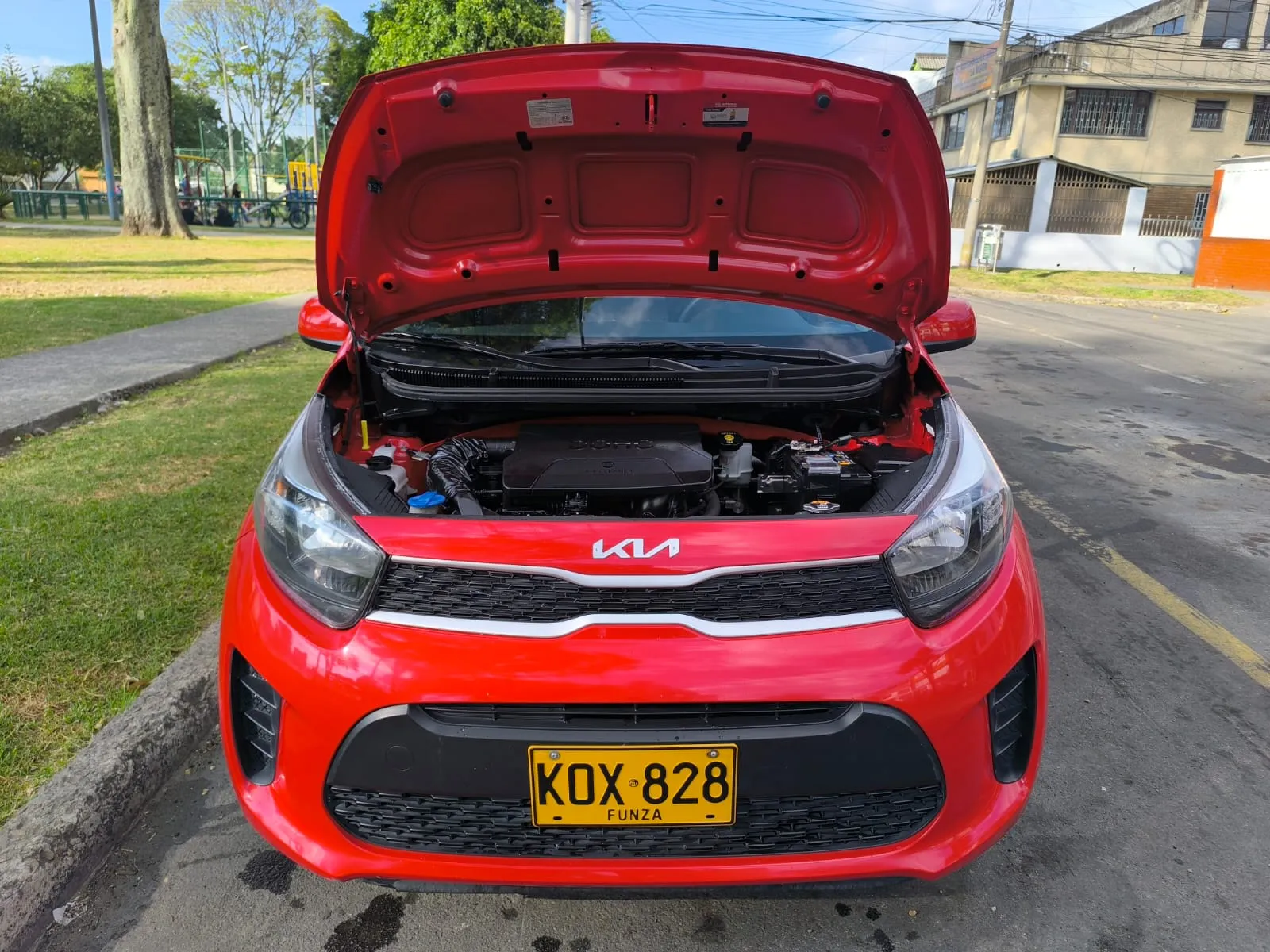 KIA PICANTO ION [FL] 1 2022