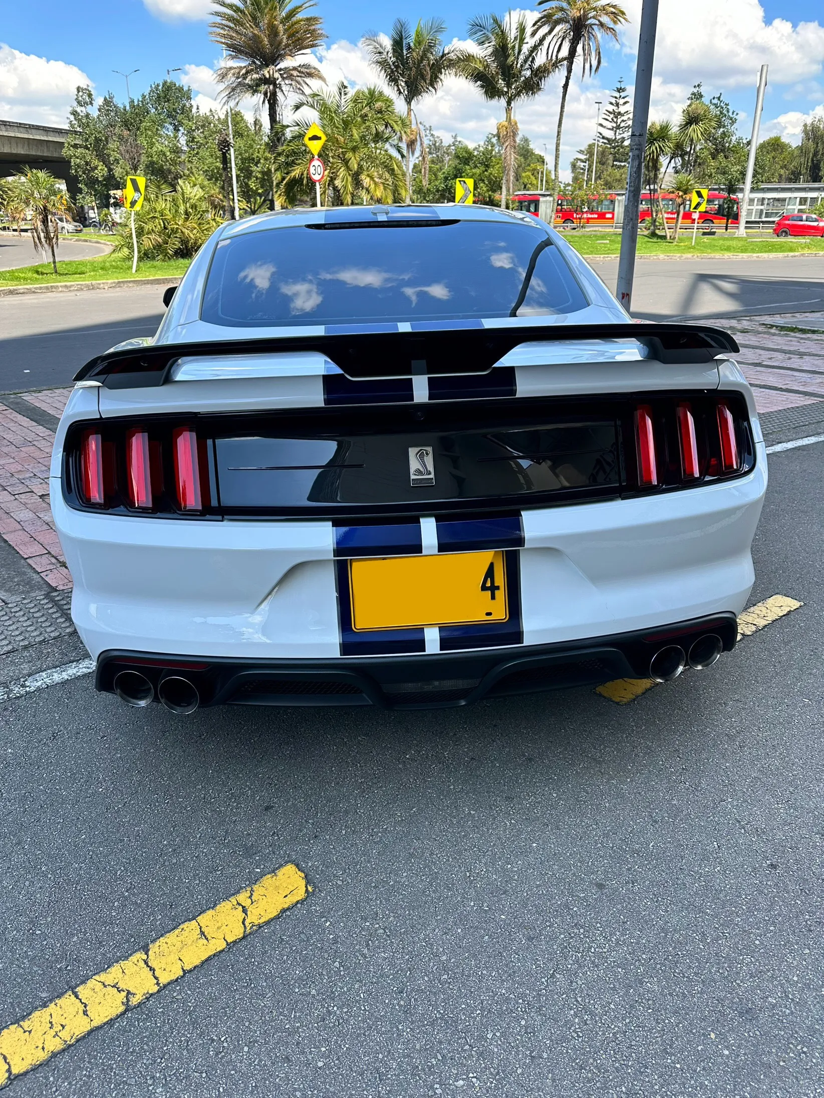 FORD MUSTANG [6] SHELBY GT350 2019