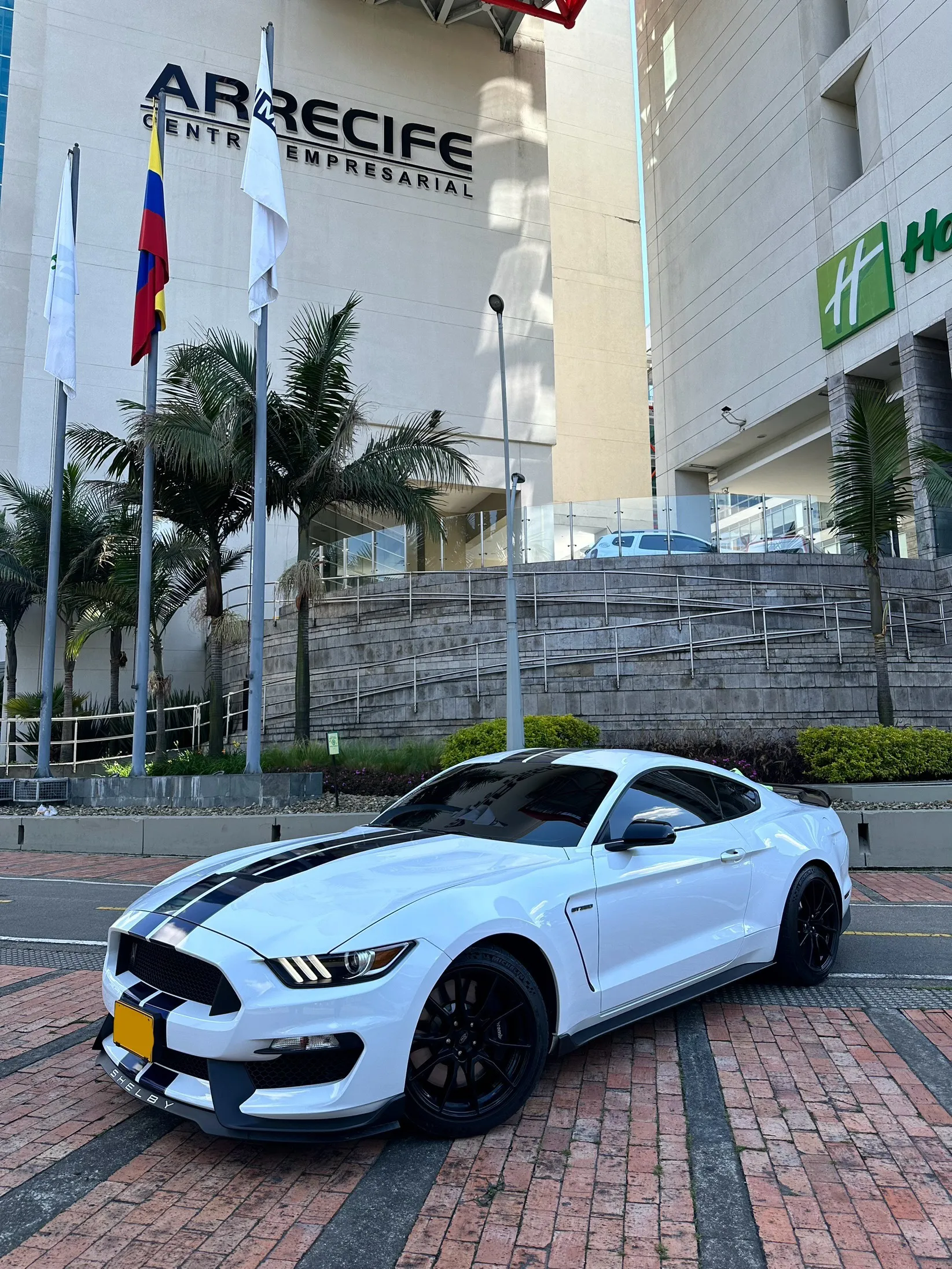 FORD MUSTANG [6] SHELBY GT350 2019